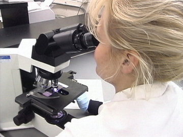 medical and clinical laboratory technologists